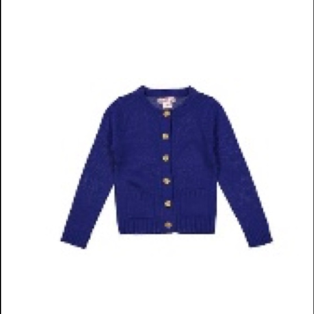 BNWT PURPLE SWEATER!!!